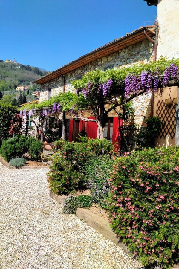 La Corte Del Falco Pieve a Nievole Екстер'єр фото